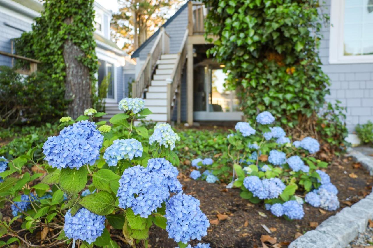 Allen Harbor Rentals Harwich Port Εξωτερικό φωτογραφία